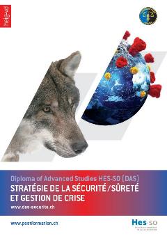 DASPageTitre Page de garde de la plaquette du DAS SECURITE SURETE