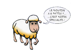 mouton