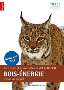vignette-bois-energie CAS Bois Energie