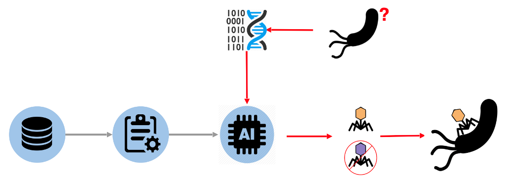 INPHINITY, Predicting phage-bacteria interaction based on genomic data