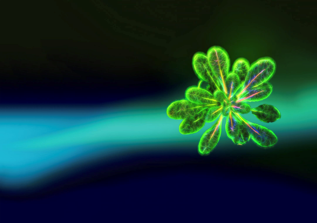 pisa pisa, Platform applying Intelligent Signal Analysis to gain insights to plant electrophysiology