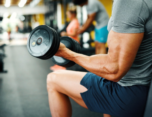 Musculation_fitness_s